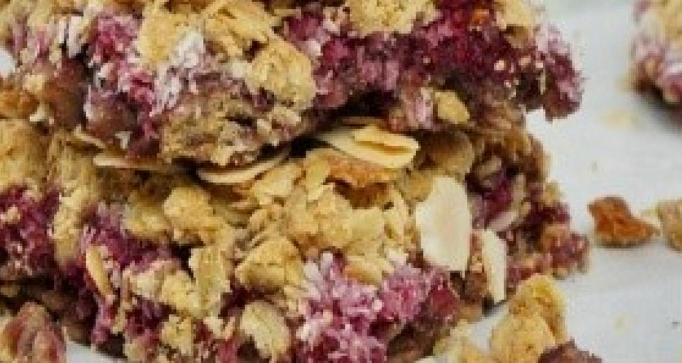 Vegan Rapsberry Coconut Oat Squares