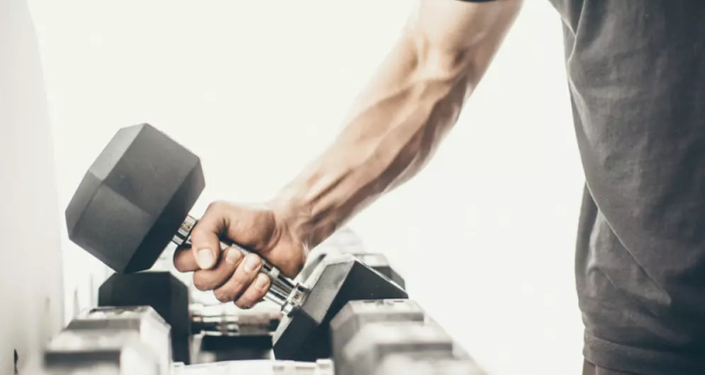 From Muscle Confusion To Muscle Memory