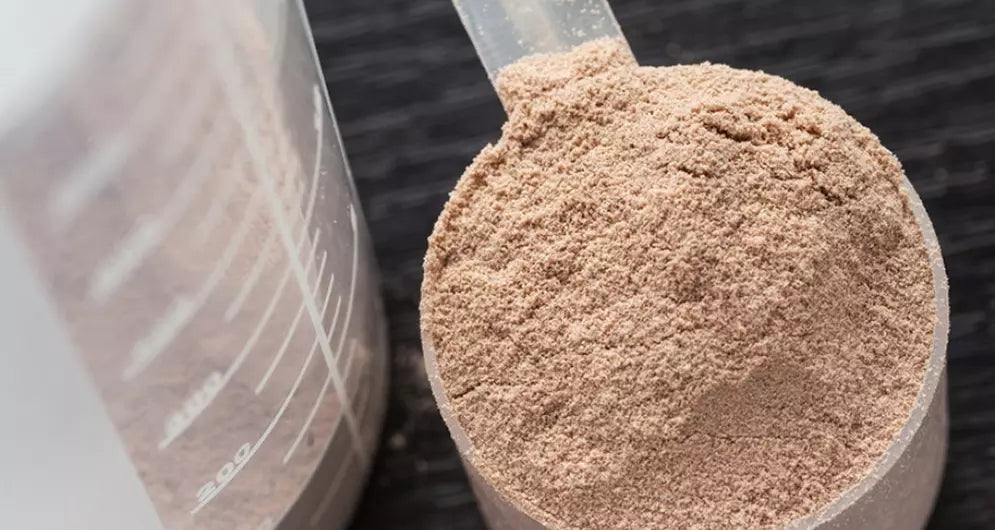 How Much Protein Post-Workout?