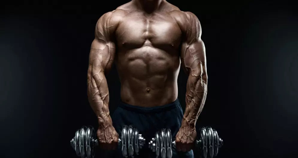 The Secret To Building Muscle Size