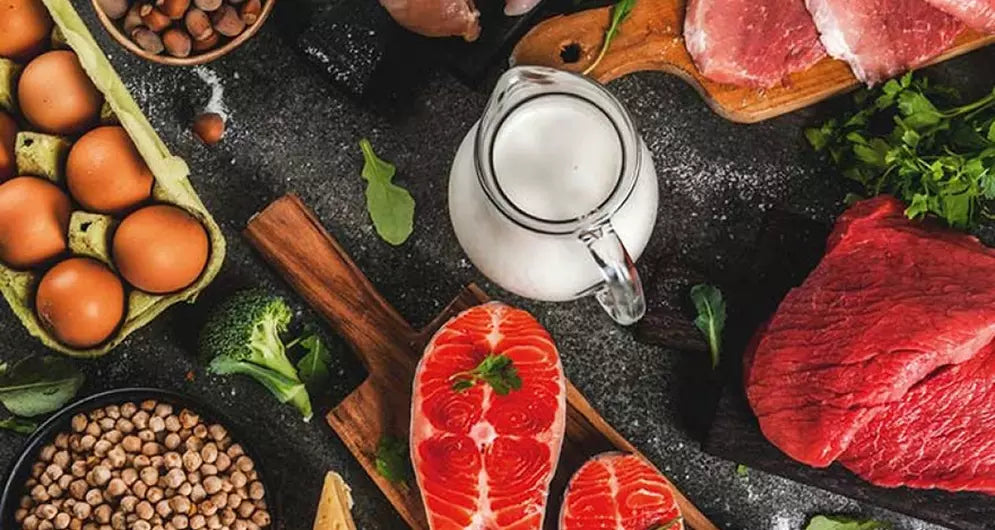 Understanding the Basics of Protein