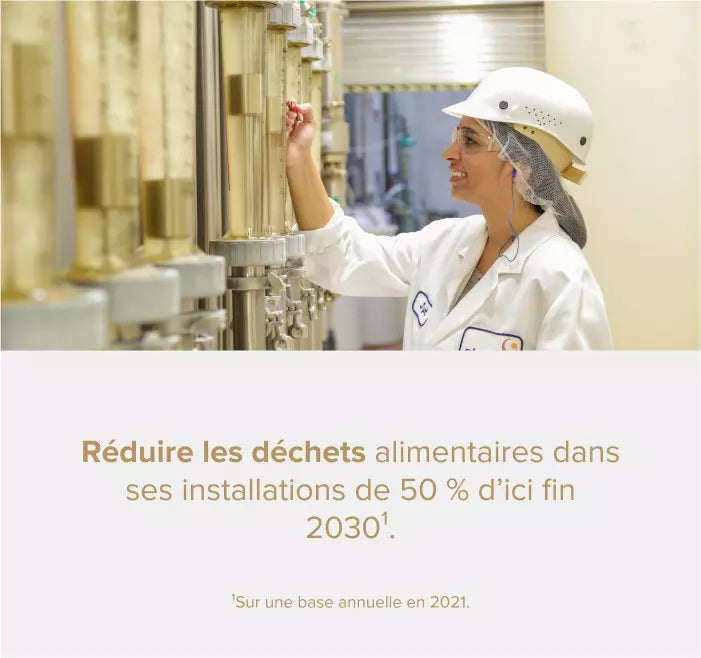 Files onfr food waste