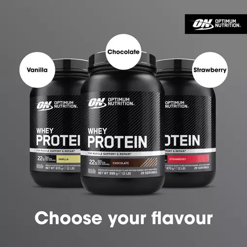 Whey Protein Powder 100% Concentrate