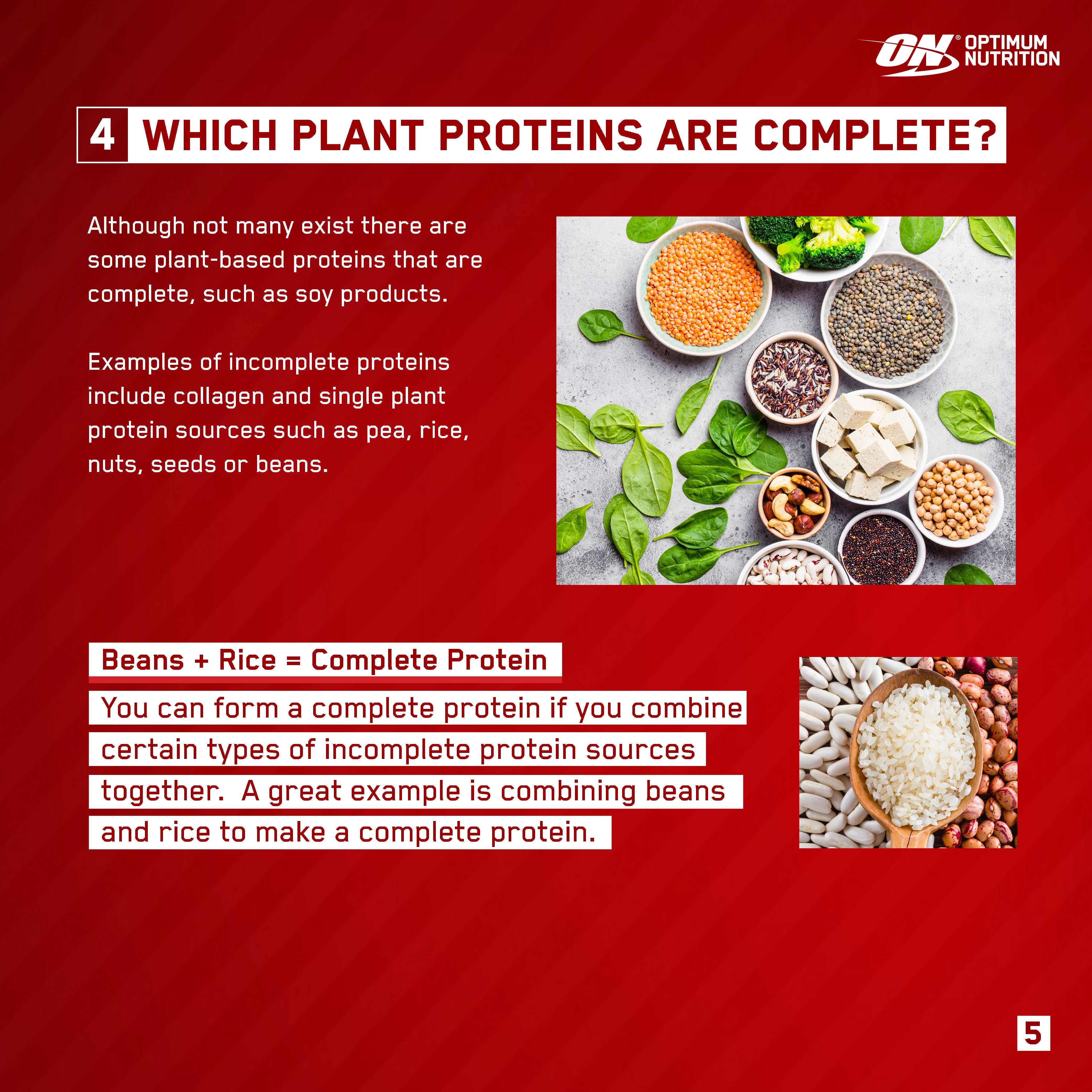 Optimum Nutrition informational graphic about complete plant proteins, highlighting beans and rice as a complete protein source