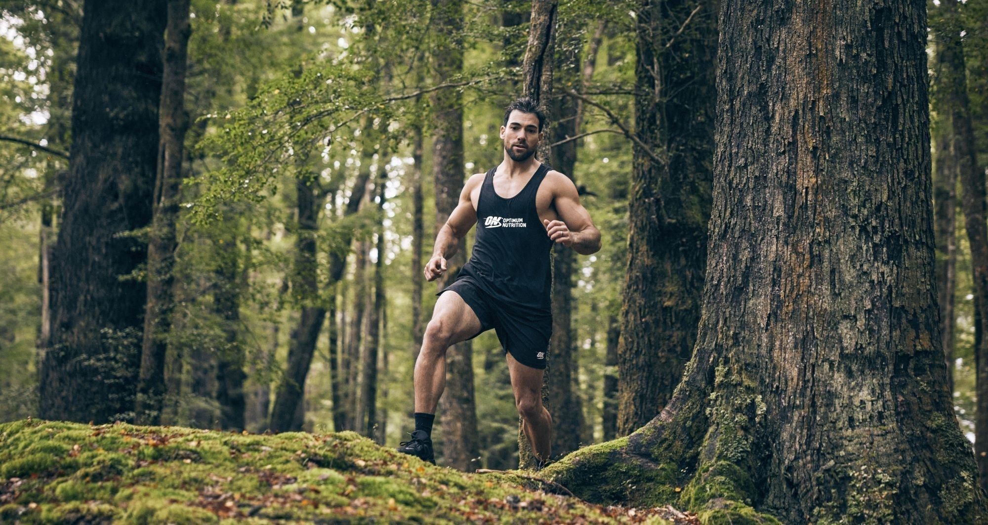 Can you Build Muscle with a Plant based Diet?