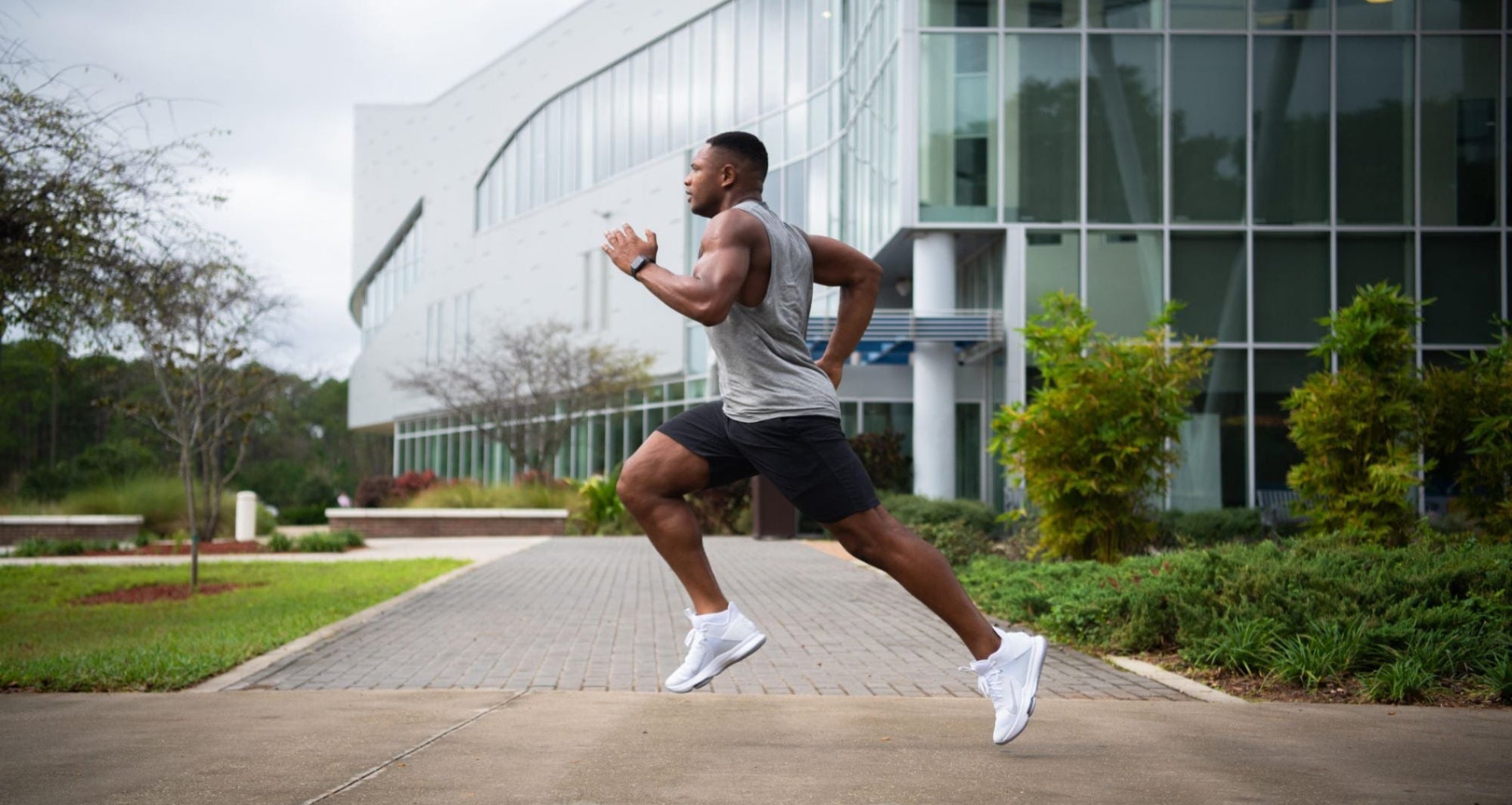 Kreatin: Fakten von Fiktion trennen