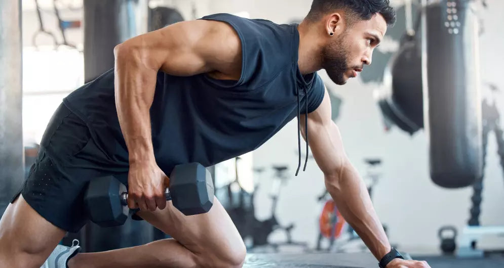 How Long Does It Take to Build Muscle | Optimum Nutrition US