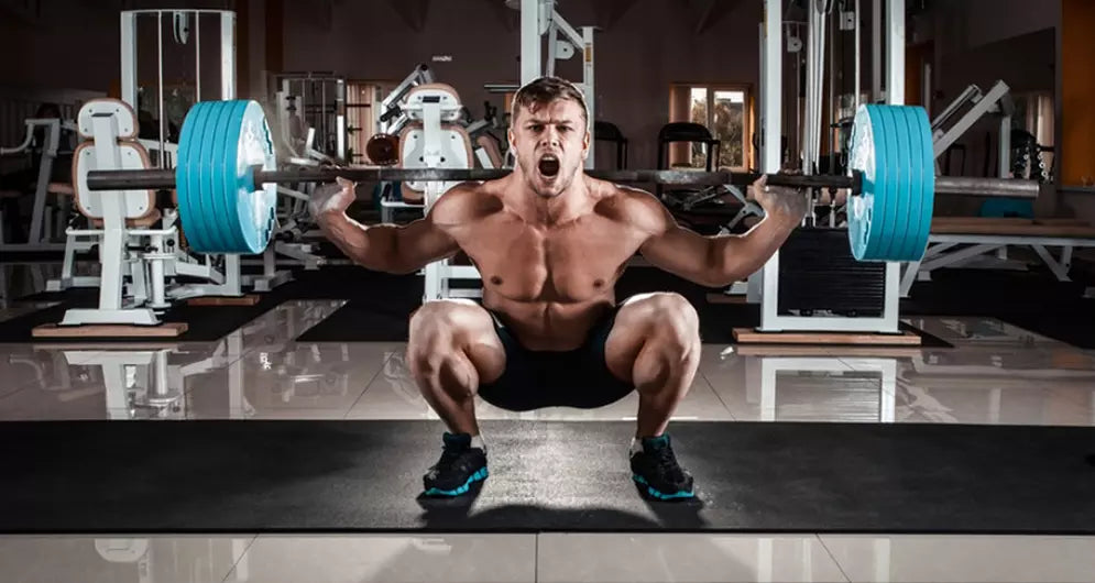 Beta-Alanine For Weight Room Warriors