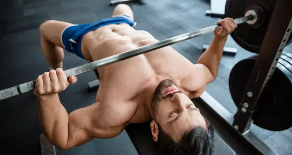 Building Muscular Size, Strength & Endurance