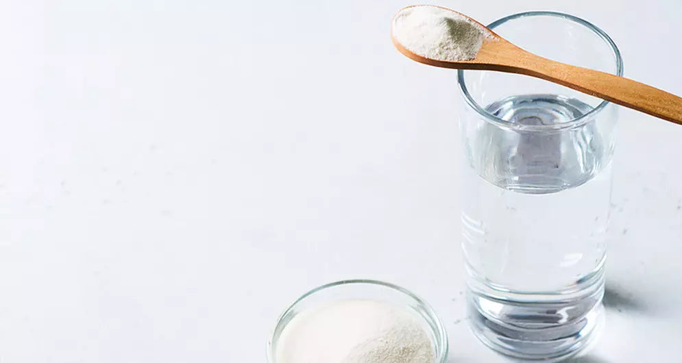 Collagen - Part 3 Collagen in Diet