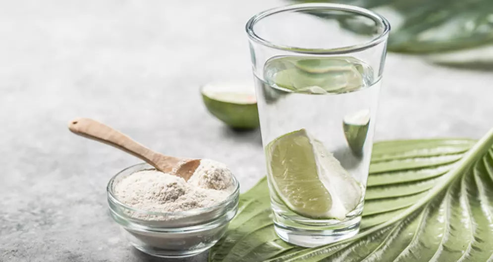 Collagen - Part 6 Collagen Supplements