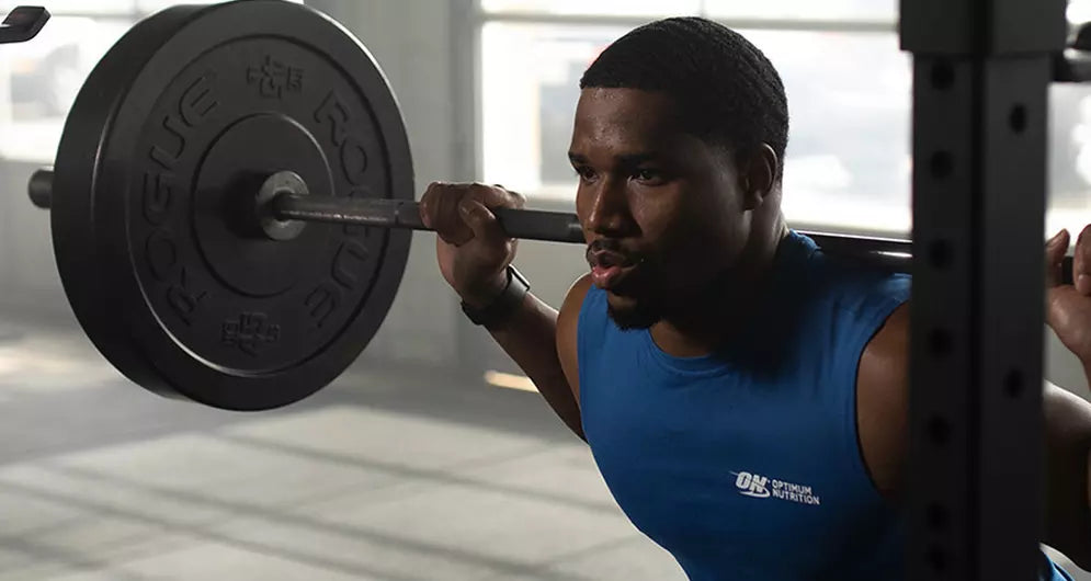 Hypertrophy and Protein