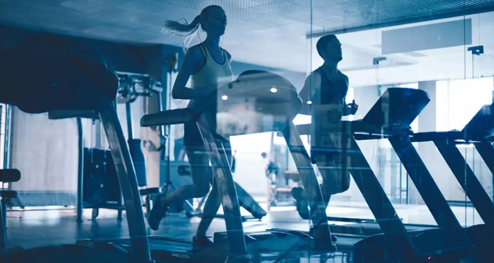 Optimal Amino Acids After Endurance