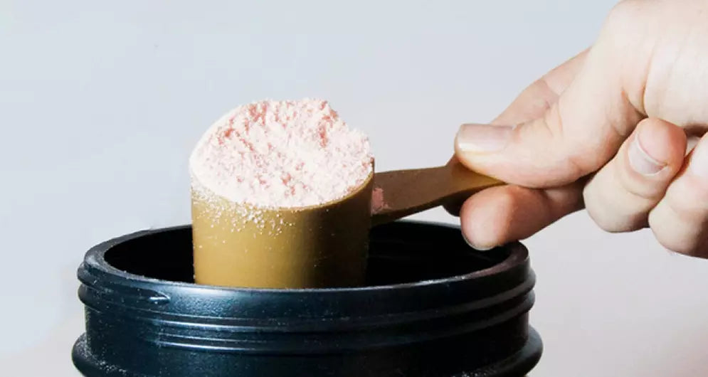 Post-Workout Proteins Put To The Test