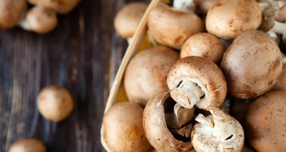 Preserving The Nutrient Profile Of Mushrooms