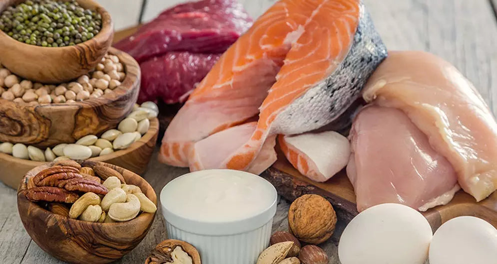 Understanding Dietary Fat