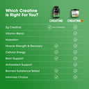 A green comparison graphic titled 'Which Creatine is Right For You?' showing two supplement bottles at the top and a checklist comparing 5g Creatine and Creatine+ across features like vitamin blend, hydration, muscle strength, cellular energy, brain support, antioxidant support, banned substance testing, and informed choice.