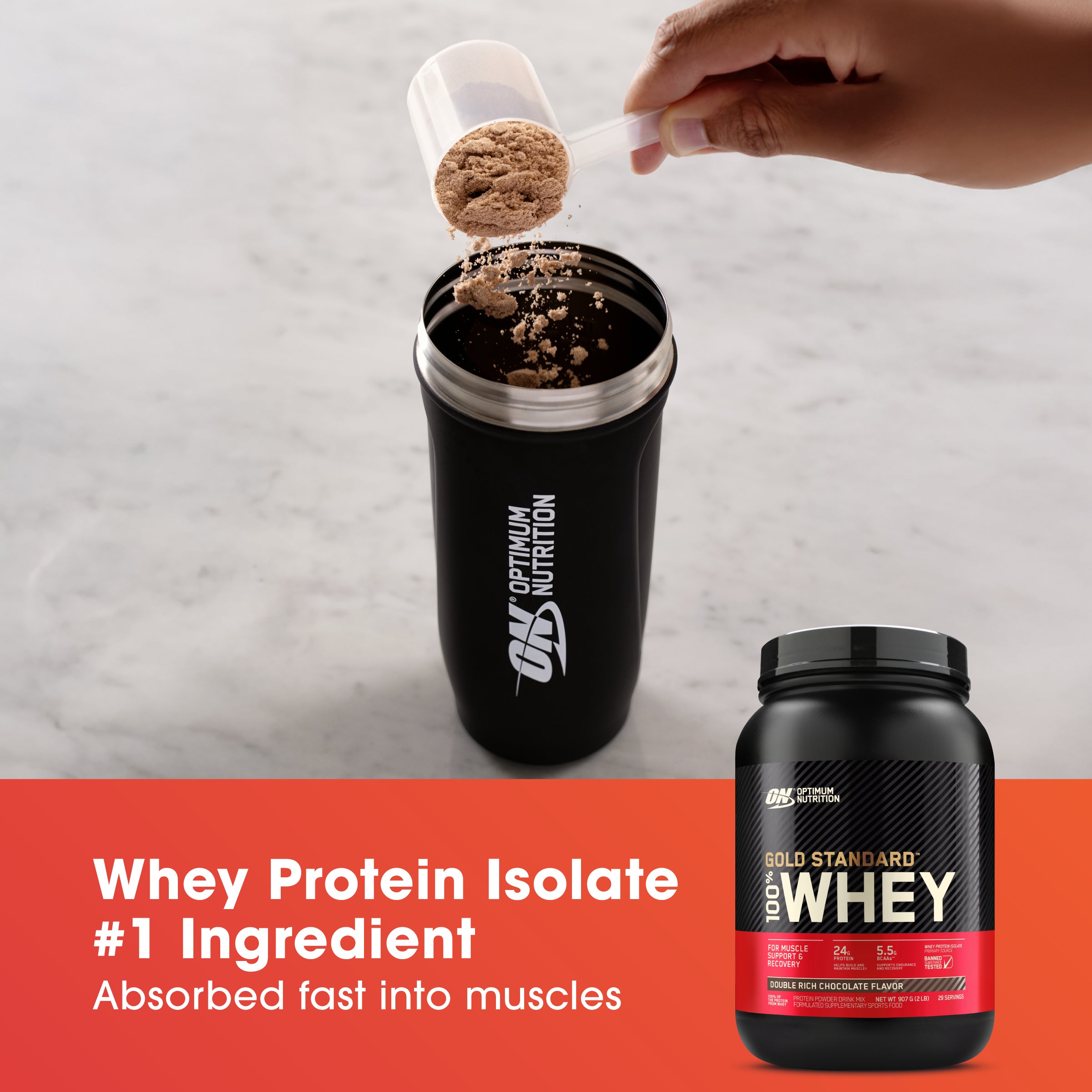 Gold Standard 100% Whey Powder