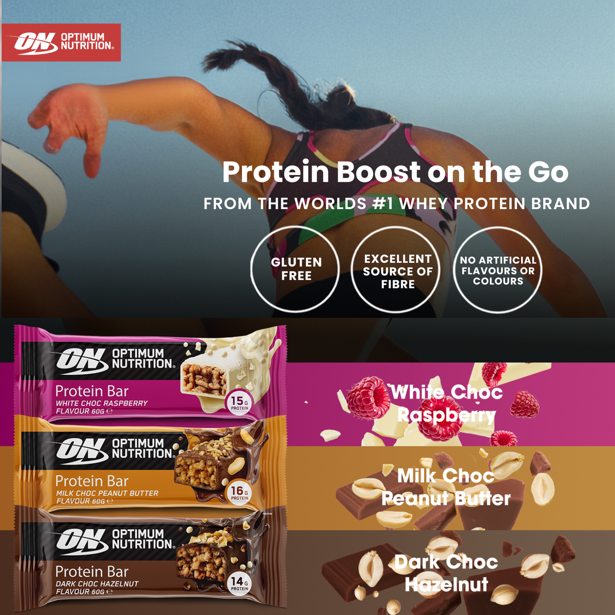 Protein Bars