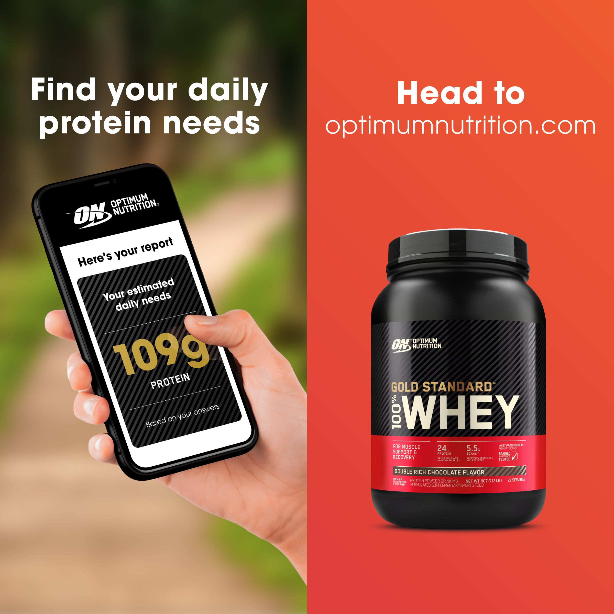 Gold Standard 100% Whey Powder