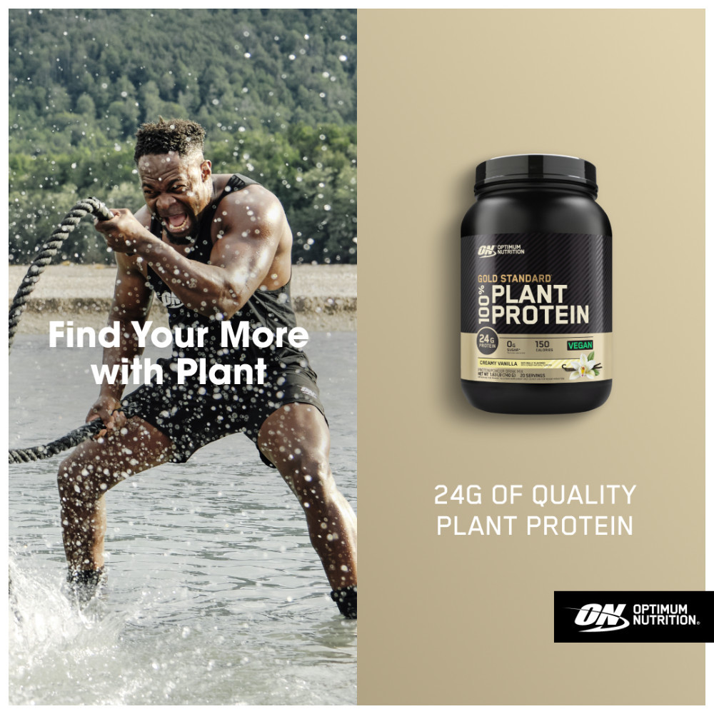 Gold Standard 100% Plant Based Protein