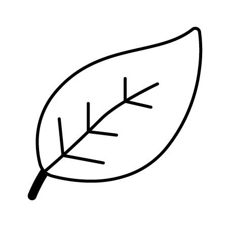 Leaf icon with a simple line design, often used to symbolize nature or eco-friendly products