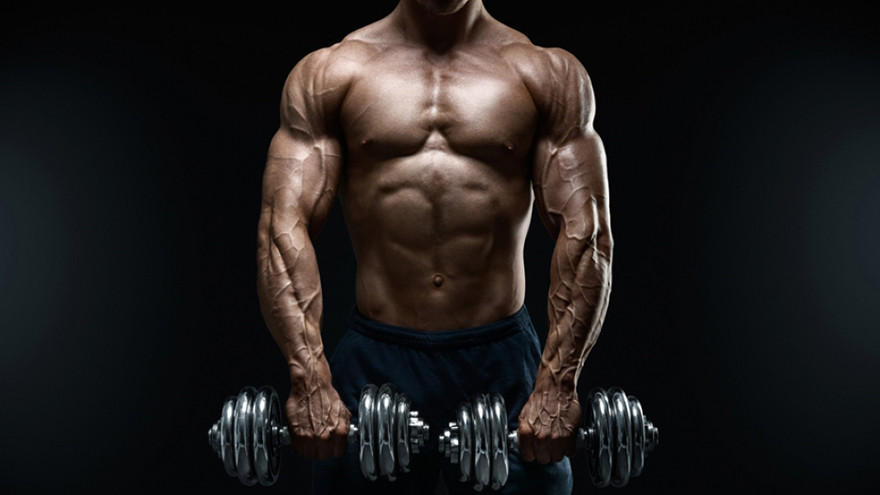 A muscular person holding two dumbbells, emphasizing strength and fitness, suitable for high-intensity workouts and muscle building